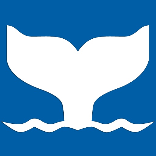 Whales NSW